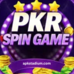 PKRSpin Game