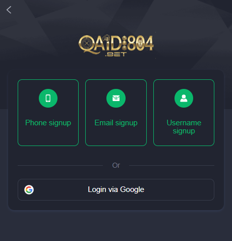Qaidi804 Game